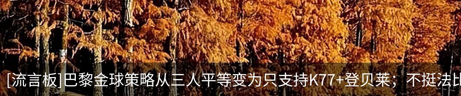 新闻动态